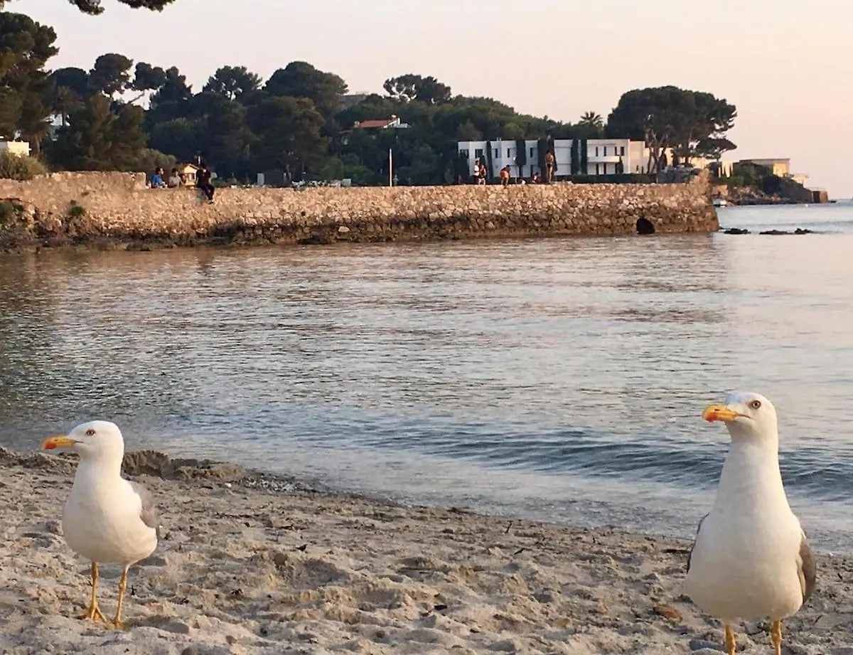 First Floor Apartment Fully Renovated Antibes